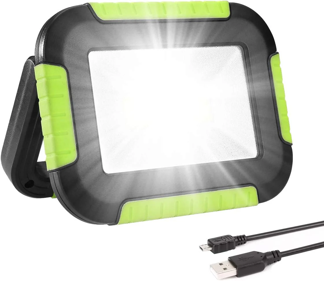 lepro 10W Portable LED Work Light