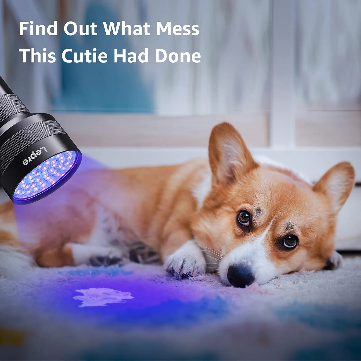 Lepro 51-LED UV Flashlight (395nm) – Pet Stain & Bed Bug Detector - Image 3