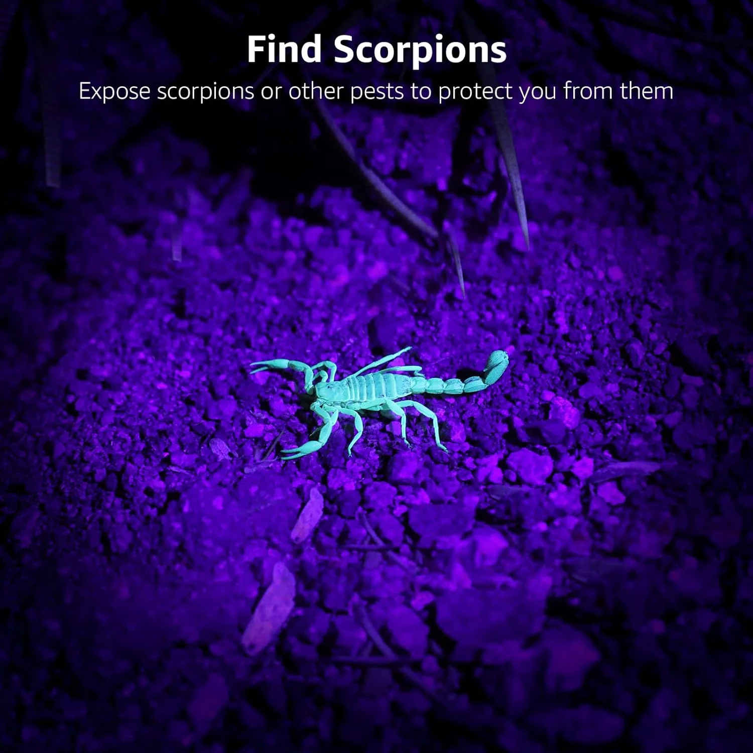 Lepro 51-LED UV Flashlight (395nm) – Pet Stain & Bed Bug Detector - Image 9