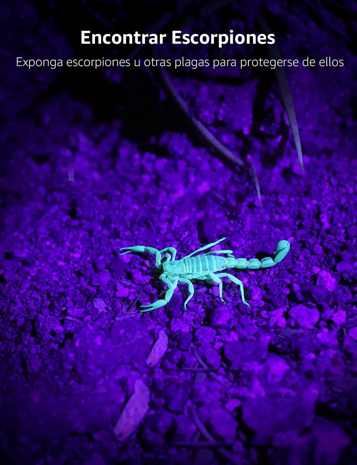 Lepro Small UV Flashlight (2 Pack) - Image 6