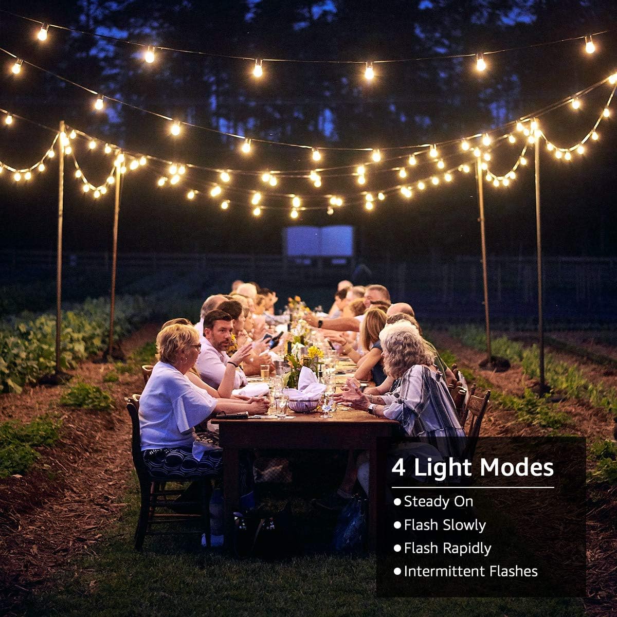 Lepro Solar Outdoor String Lights - Image 4